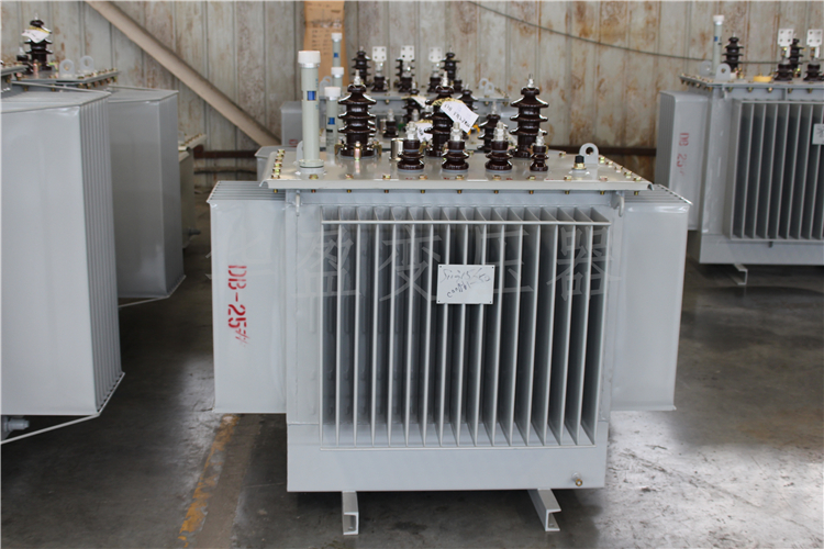 抚州S20-800kVA/10kV/0.4kV变压器